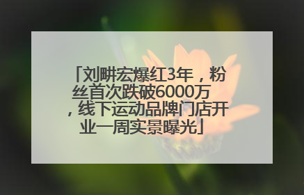 刘畊宏爆红3年，粉丝首次跌破6000万，线下运动品牌门店开业一周实景曝光