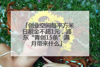 创业空间每平方米日租金不超1元，浦东“青创15条”满月带来什么