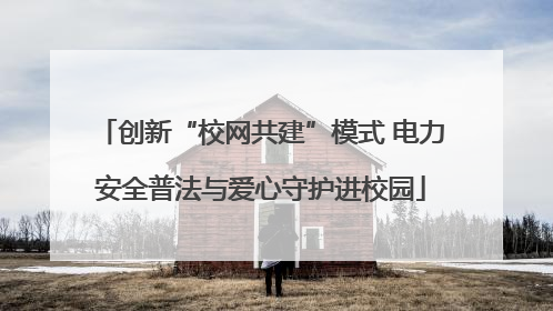创新“校网共建”模式 电力安全普法与爱心守护进校园