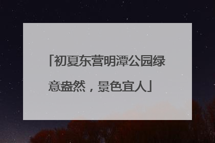 初夏东营明潭公园绿意盎然，景色宜人