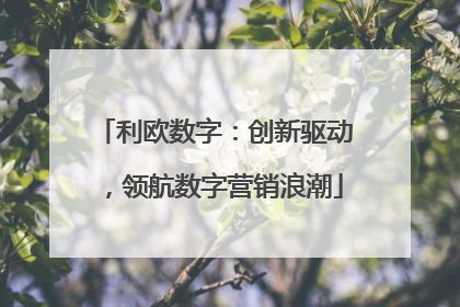 利欧数字：创新驱动，领航数字营销浪潮