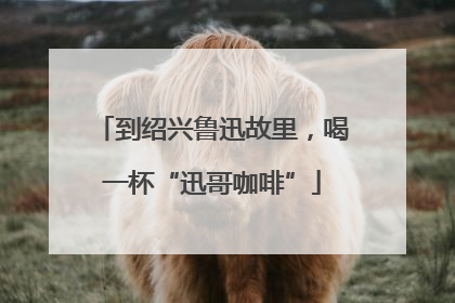 到绍兴鲁迅故里，喝一杯“迅哥咖啡”