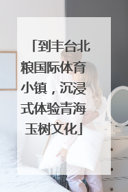 到丰台北粮国际体育小镇，沉浸式体验青海玉树文化