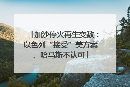 加沙停火再生变数：以色列“接受”美方案、哈马斯不认可