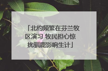 北约频繁在芬兰牧区演习 牧民担心惊扰驯鹿影响生计