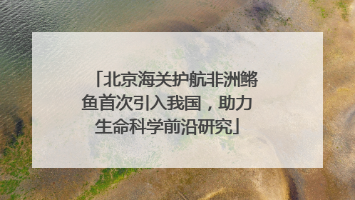 北京海关护航非洲鳉鱼首次引入我国，助力生命科学前沿研究