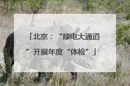 北京：“绿电大通道”开展年度“体检”