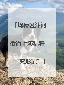 埇桥区汴河街道上演秸秆“变形记”