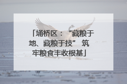 埇桥区：“藏粮于地、藏粮于技” 筑牢粮食丰收根基