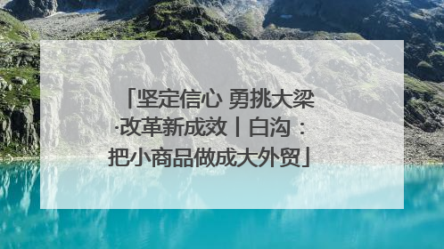 坚定信心 勇挑大梁·改革新成效丨白沟：把小商品做成大外贸