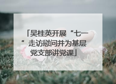 吴桂英开展“七一”走访慰问并为基层党支部讲党课