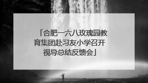 合肥一六八玫瑰园教育集团赴习友小学召开视导总结反馈会