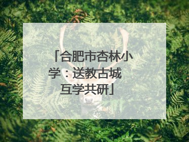 合肥市杏林小学：送教古城 互学共研