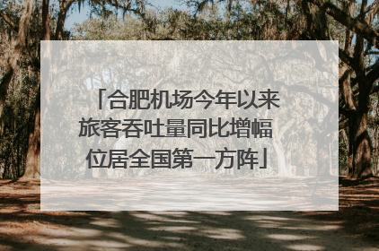 合肥机场今年以来旅客吞吐量同比增幅位居全国第一方阵