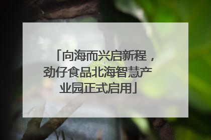 向海而兴启新程，劲仔食品北海智慧产业园正式启用