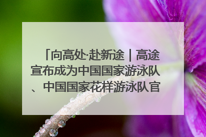 向高处·赴新途｜高途宣布成为中国国家游泳队、中国国家花样游泳队官方学习合作伙伴