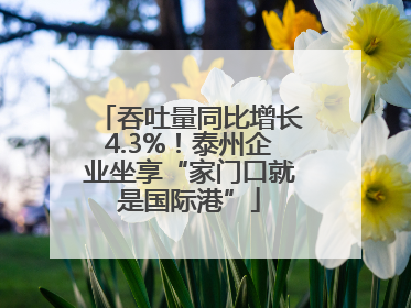 吞吐量同比增长4.3%！泰州企业坐享“家门口就是国际港”