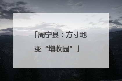 周宁县：方寸地变“增收园”