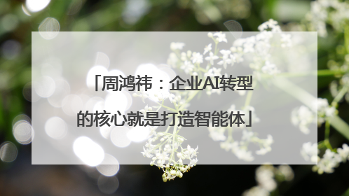 周鸿祎：企业AI转型的核心就是打造智能体