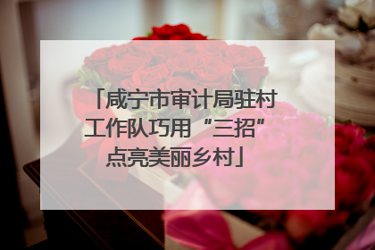 咸宁市审计局驻村工作队巧用“三招”点亮美丽乡村