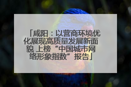 咸阳：以营商环境优化展现高质量发展新面貌 上榜“中国城市网络形象指数”报告