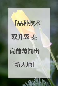 品种技术双升级 秦岗葡萄闯出新天地