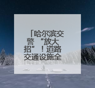 哈尔滨交警 “放大招”！道路交通设施全面升级，出行体验直线飙升