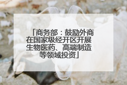 商务部：鼓励外商在国家级经开区开展生物医药、高端制造等领域投资