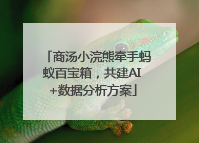 商汤小浣熊牵手蚂蚁百宝箱，共建AI+数据分析方案