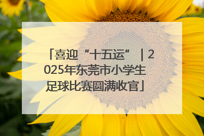喜迎“十五运”｜2025年东莞市小学生足球比赛圆满收官