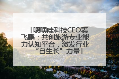 嗯噢哇科技CEO窦飞鹏：共创旅游专业能力认知平台，激发行业“自生长”力量
