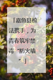嘉鱼县检法携手，为青春筑牢禁毒“防火墙”