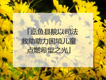 嘉鱼县院以司法救助助力困境儿童点燃希望之光