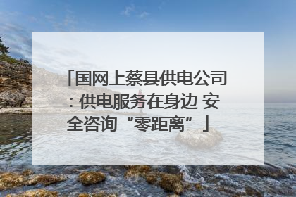 国网上蔡县供电公司：供电服务在身边 安全咨询“零距离”