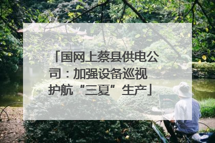 国网上蔡县供电公司：加强设备巡视 护航“三夏”生产