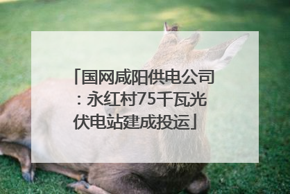 国网咸阳供电公司：永红村75千瓦光伏电站建成投运
