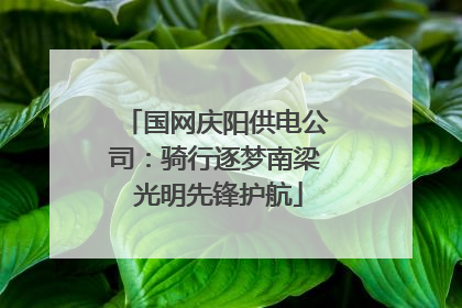 国网庆阳供电公司：骑行逐梦南梁 光明先锋护航