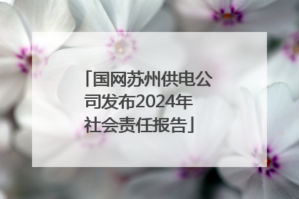 国网苏州供电公司发布2024年社会责任报告