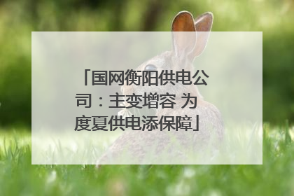 国网衡阳供电公司：主变增容 为度夏供电添保障
