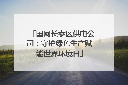 国网长泰区供电公司：守护绿色生产赋能世界环境日