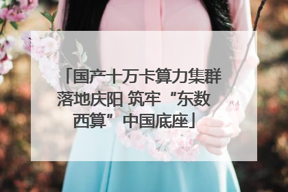国产十万卡算力集群落地庆阳 筑牢“东数西算”中国底座