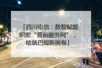 四川电信：数智赋能织密“普遍服务网”，绘就巴蜀新画卷
