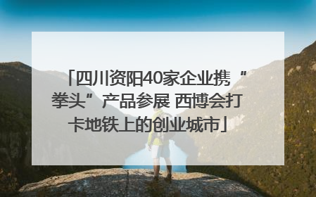 四川资阳40家企业携“拳头”产品参展 西博会打卡地铁上的创业城市