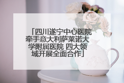 四川遂宁中心医院牵手意大利萨莱诺大学附属医院 四大领域开展全面合作