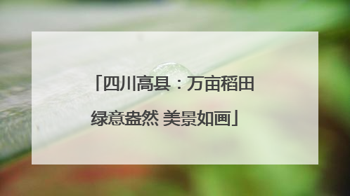 四川高县：万亩稻田绿意盎然 美景如画