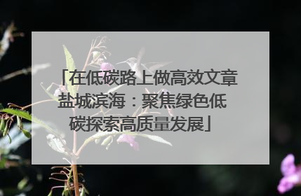 在低碳路上做高效文章 盐城滨海：聚焦绿色低碳探索高质量发展