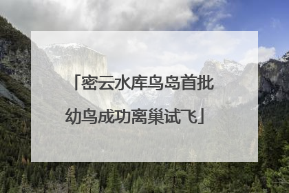 密云水库鸟岛首批幼鸟成功离巢试飞