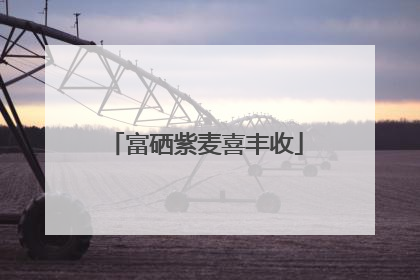 富硒紫麦喜丰收