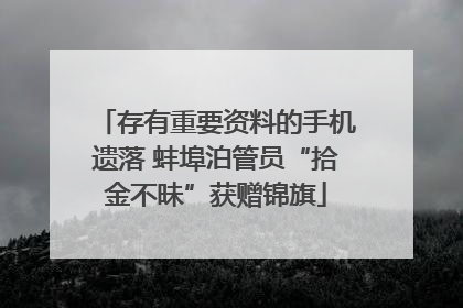 存有重要资料的手机遗落 蚌埠泊管员“拾金不昧”获赠锦旗