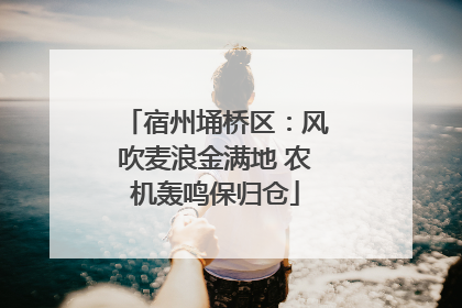 宿州埇桥区：风吹麦浪金满地 农机轰鸣保归仓
